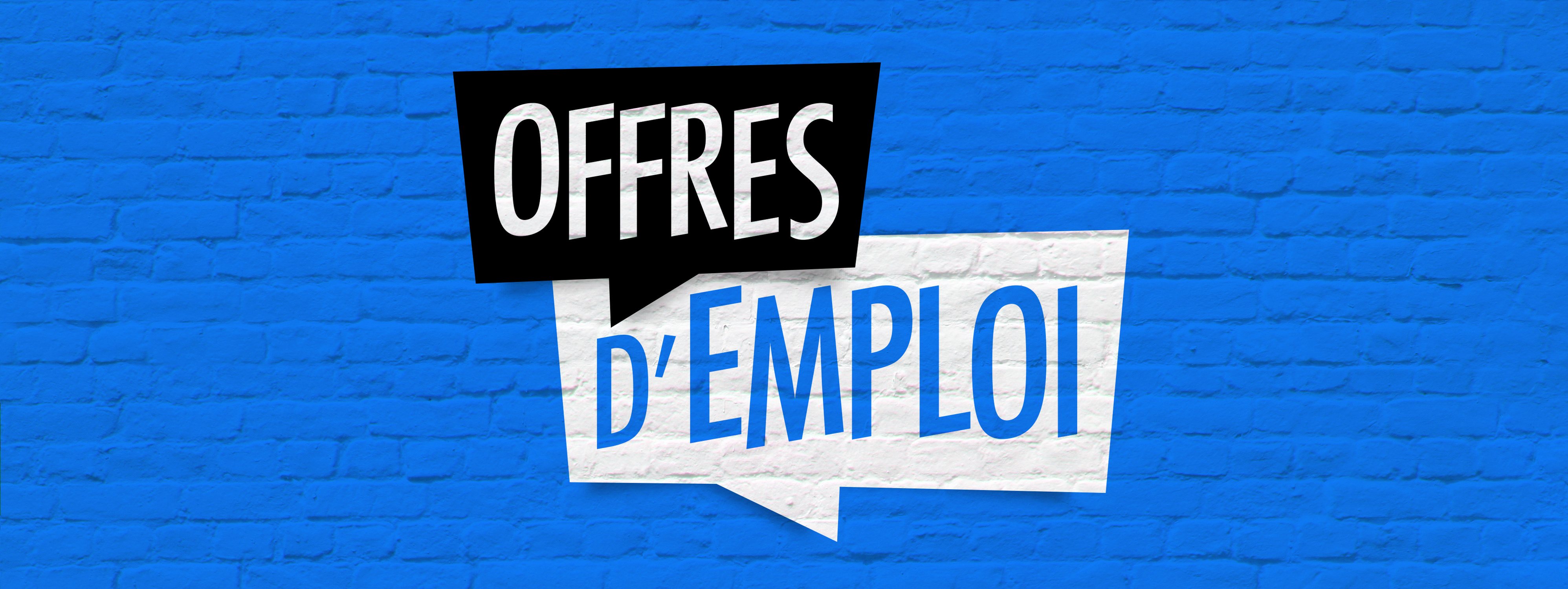 image_annonce hôtesses pour un bar